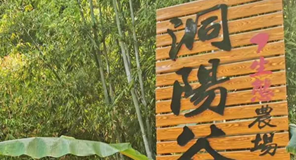 廣有合頁2019踏春拓展--經(jīng)歷中成長，成長中經(jīng)歷